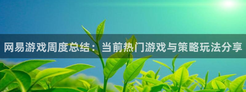 星欧娱乐app下载地址：网易游戏周度总结：当前热门游戏与策略