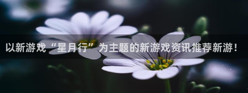 星欧娱乐注册服务条款：以新游戏“星月行”为主题的新游戏资讯推