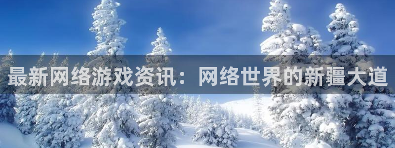 星欧娱乐网址官网：最新网络游戏资讯：网络世界的新疆大道