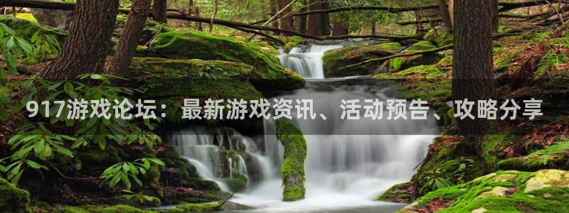 星欧娱乐Ii：917游戏论坛：最新游戏资讯、活动预告、攻略分