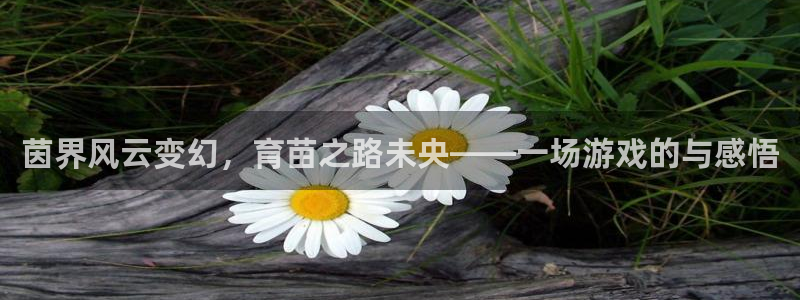 手机版星欧娱乐客户端下载：茵界风云变幻，育苗之路未央——一场