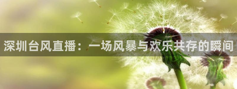 nba直播吧直播：深圳台风直播：一场风暴与欢乐共存的瞬间
