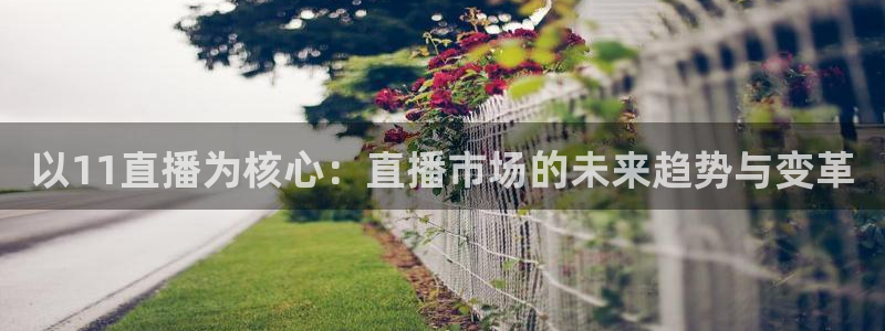 体育直播吧cba：以11直播为核心：直播市场的未来趋势与变革