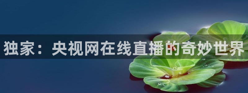 直播吧劲爆体育：独家：央视网在线直播的奇妙世界