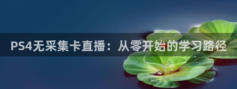 88直播吧体育