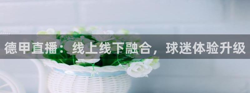 jrs 直播吧：德甲直播：线上线下融合，球迷体验升级
