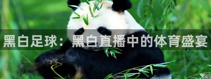 jrs直播低调看直播nba直播jrs直播吧：黑白足球：黑白直播中的体育盛宴